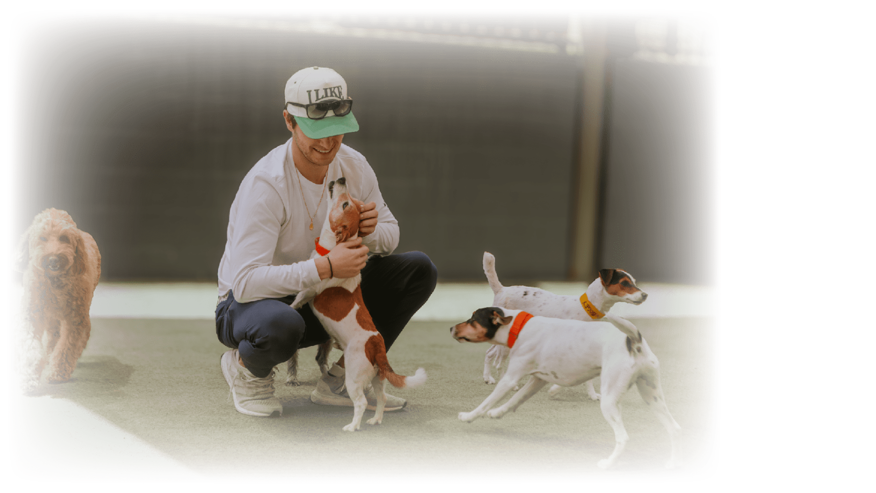 The Barking Dog team