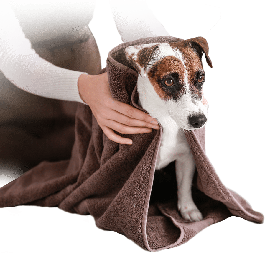 Grooming & Spa Services